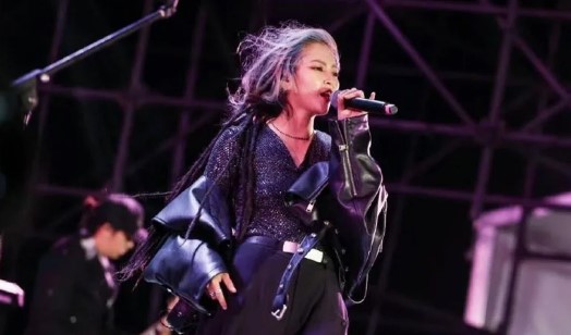 畢夏是內地女歌手和演員。 畢夏是內地女歌手和演員。