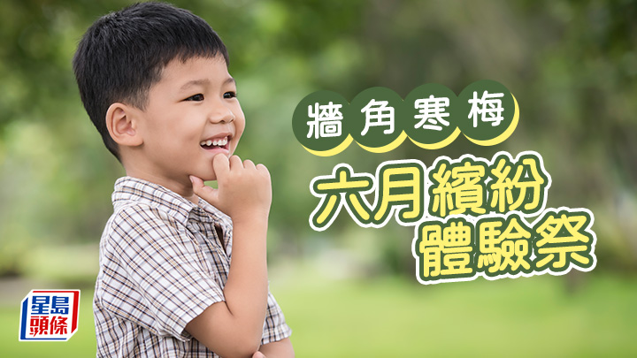 李建文 - 六月繽紛體驗祭|牆角寒梅