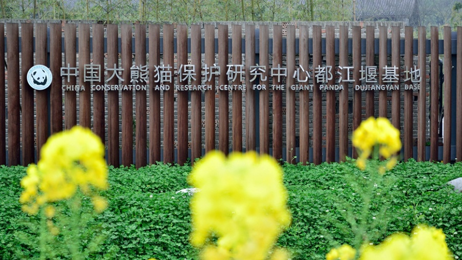中国大熊猫保护研究中心在官方微博发布声明。