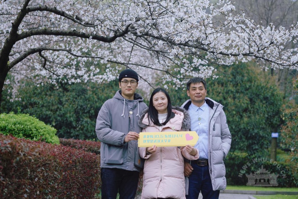 武漢大學的櫻花吸引不少遊客入內參觀。