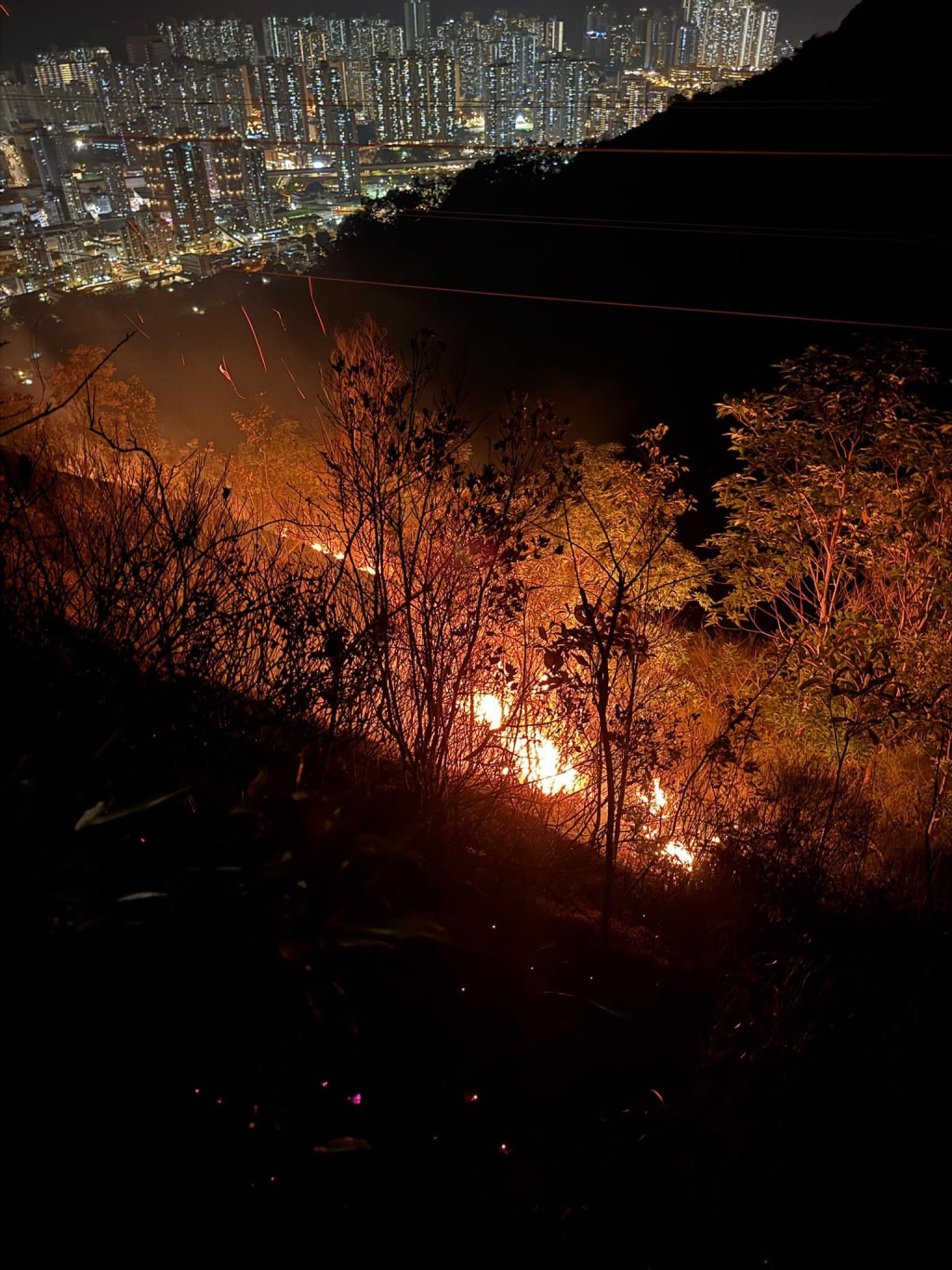 屯門九逕山一帶發生山火。香港消防處Facebook圖片