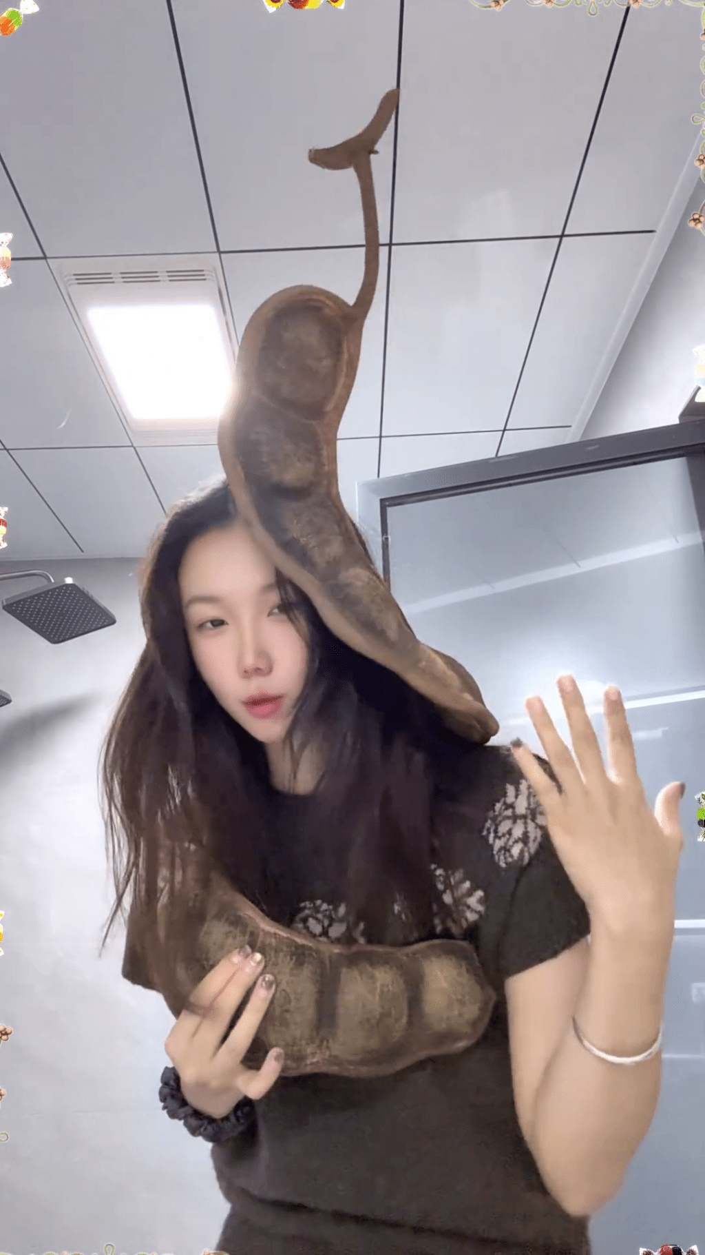 女子¥64購1米長巨豆莢，雲南搭機回大連成焦點。