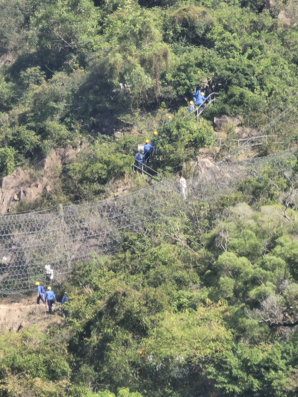 網上圖片 網上圖片