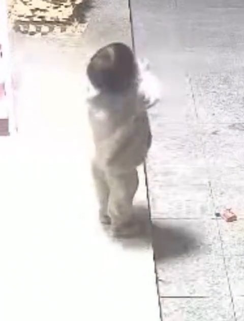 閉路電影拍下小孩將砂炮放入的情景。抖音@看齊新聞 閉路電影拍下小孩將砂炮放入的情景。抖音@看齊新聞