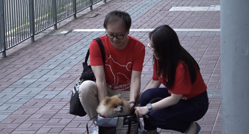 港鐵與亞洲動物基金合辦「港鐵X國際狗狗日 一同認識狗醫生」活動。