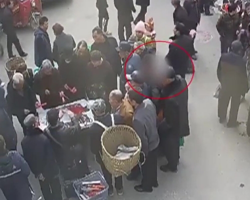 重慶巴南區警方拘捕了兩名專向老人埋手的扒手。(網圖)