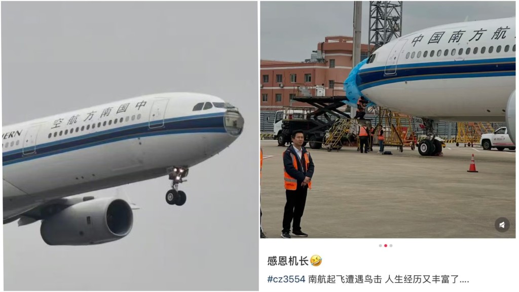 南航上海飛深圳航班遭遇鳥擊，機鼻受損。
