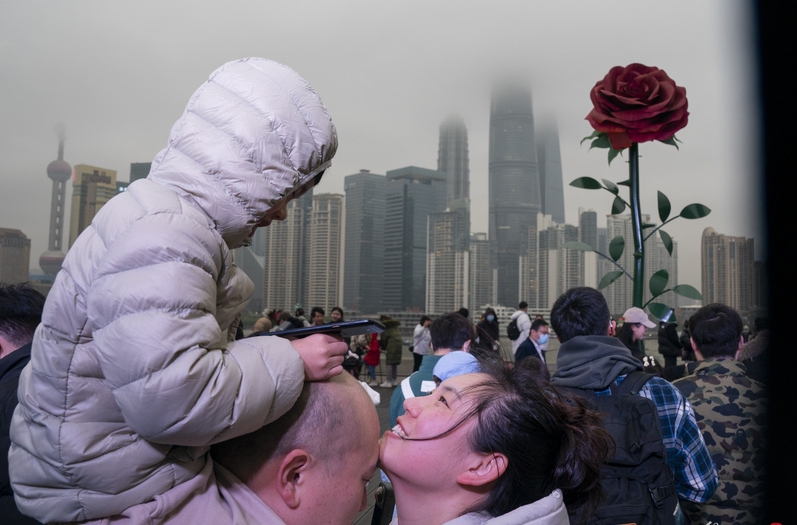 巨型玫瑰，是上海情人節「驕」點。