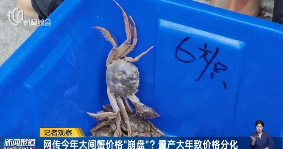 地板價5至6元人仔的大閘蟹。 地板價5至6元人仔的大閘蟹。