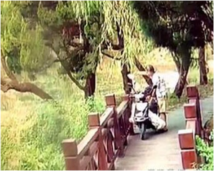 劉某趁中午到公園將蛇放生在水中。