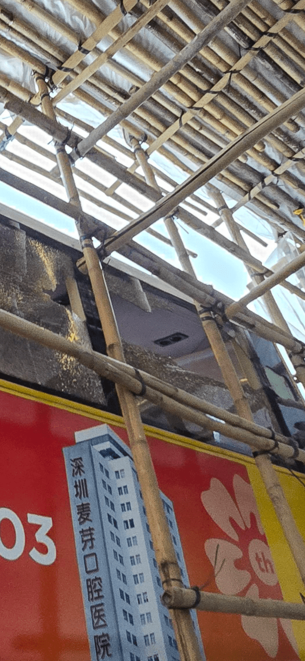 竹枝插穿車身，造成上層玻璃破碎，所幸無人受傷。fb「車cam L（香港群組）」