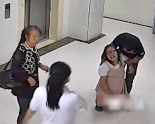 榆林孕婦馬茸茸因難頂陣痛墮樓亡。資料圖片