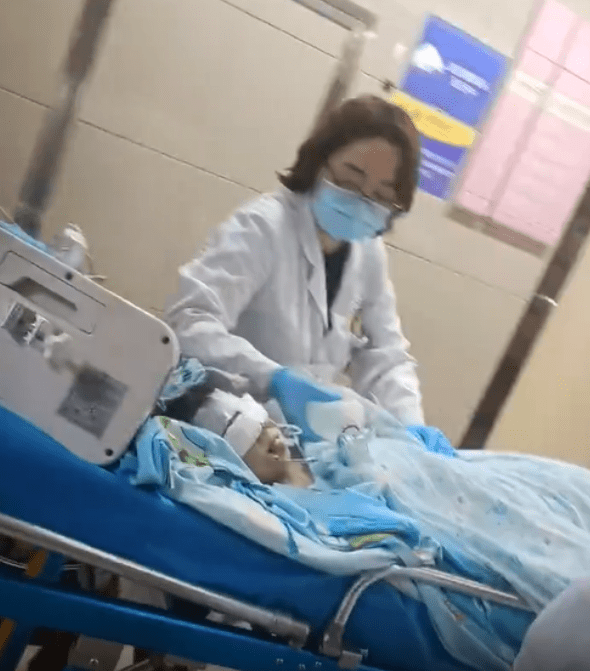 被洛威拿咬傷的四川2歲女童，留醫ICU仍昏迷。