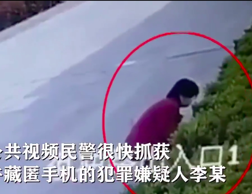 網圖