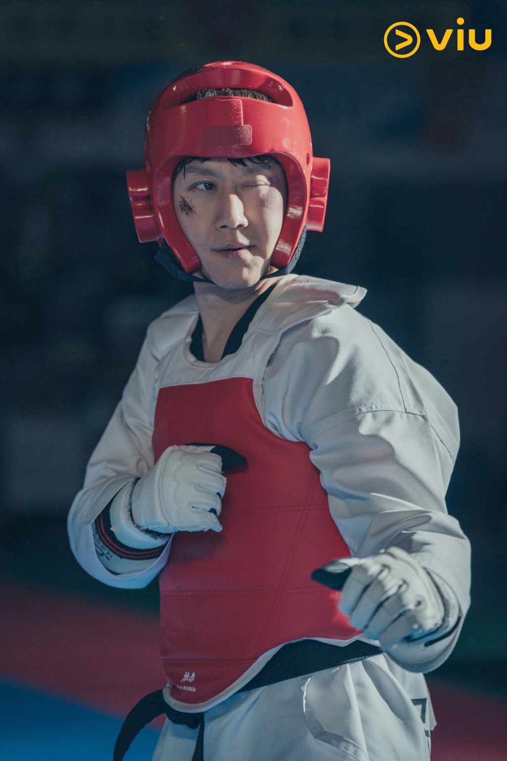 鄭宇飾演跆拳道國家代表。