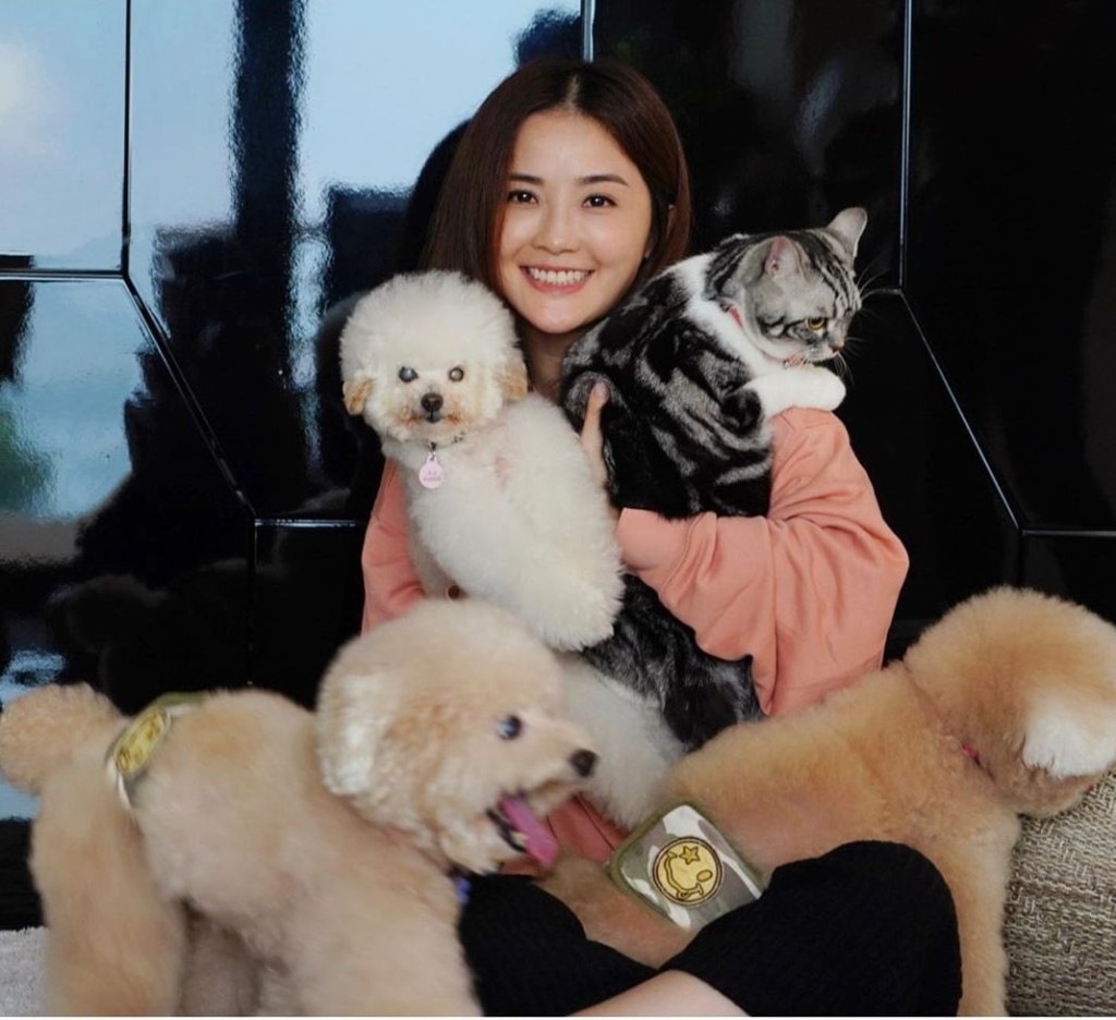 置身狗狗堆嘅肥貓「嚦咕」有啲驚青喎！