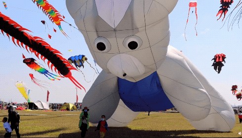 各種造型的風箏漫天飛舞。網圖