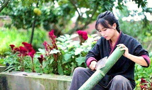 中國第一網紅李子柒，從7月14日起各平台的頻道全面停更。網圖