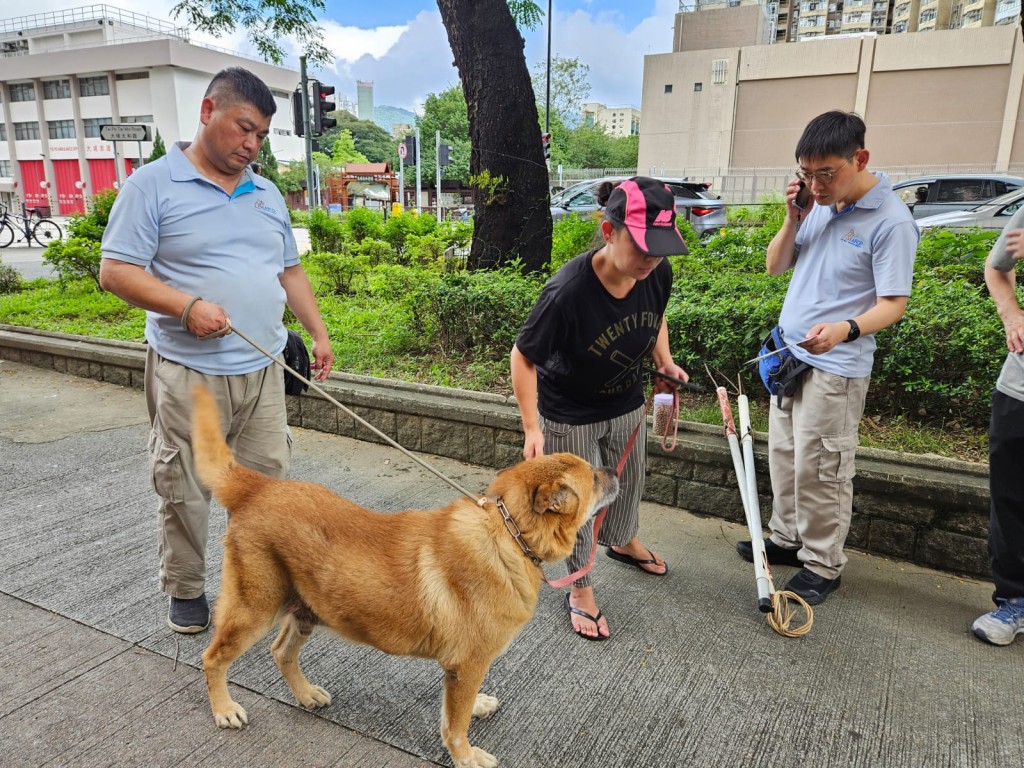 狗主女佣到场领走狗狗。毛守Kent提供