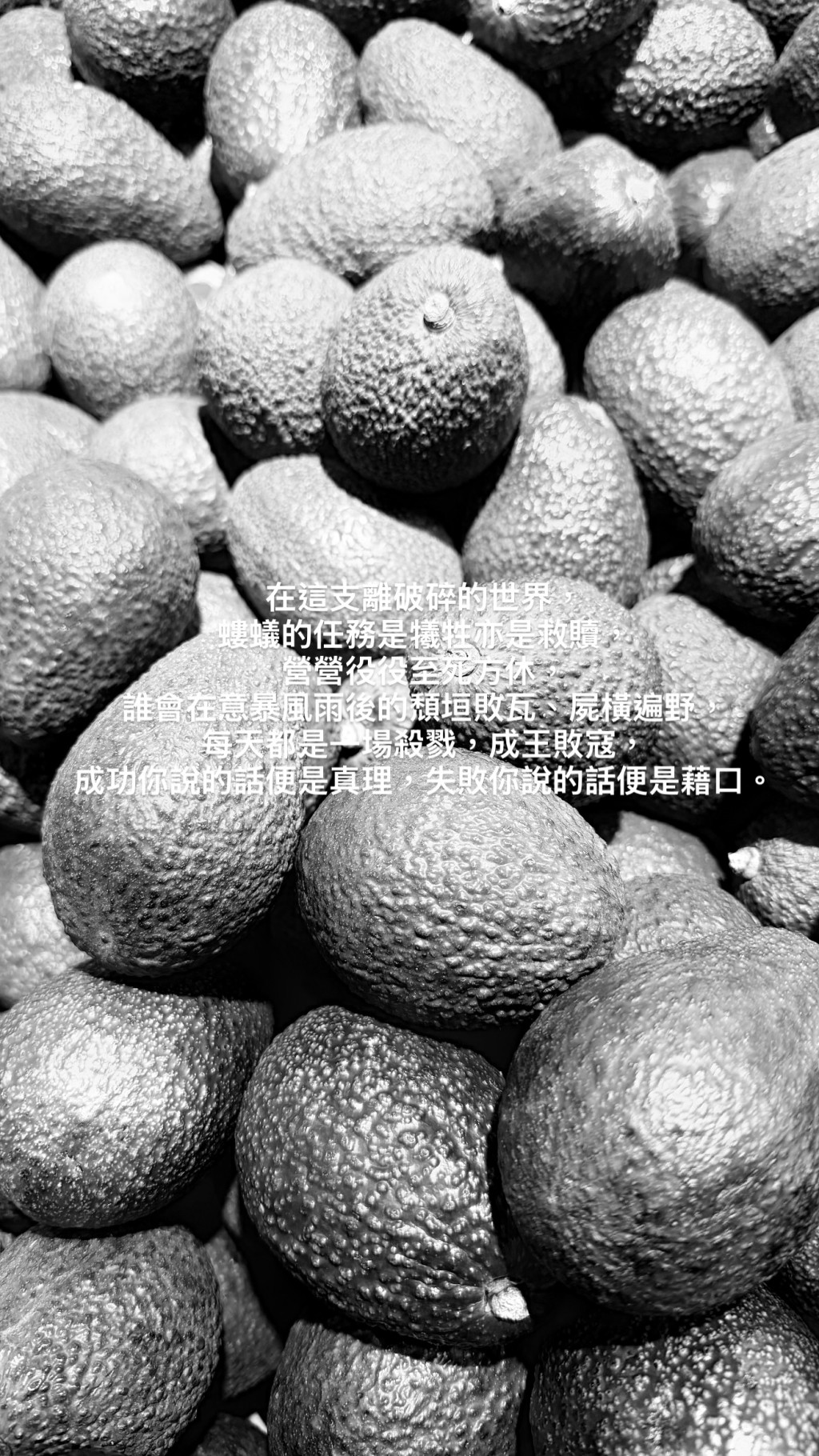 梁茵字裡行間流露出對現實的無奈與悲觀。 梁茵字裡行間流露出對現實的無奈與悲觀。