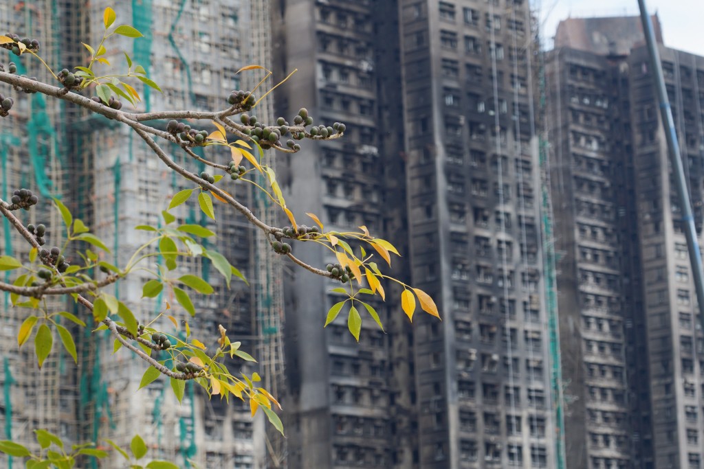 丁薛祥提及宏福苑大火，肯定特區政府妥善處理。資料圖片