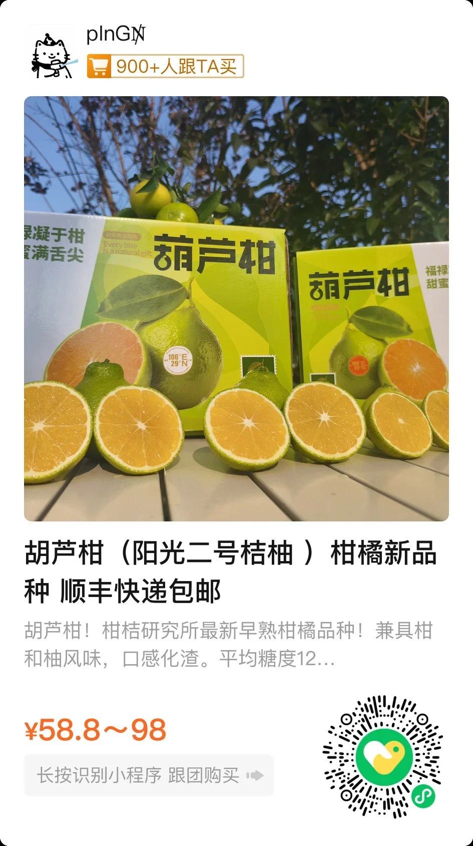 西南大學自種的柑橘「陽光二號」，網上開售首日即賣出三成。小紅書@桔子助理
