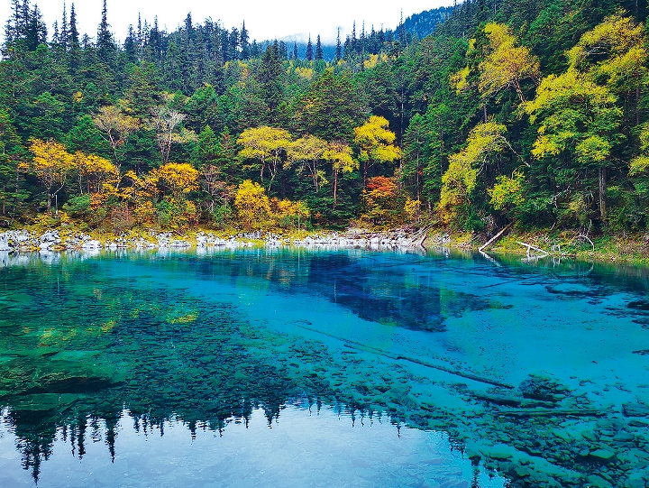 查窪溝景區的五彩池，是秋日暢遊九寨溝的其中一個打卡好去處。