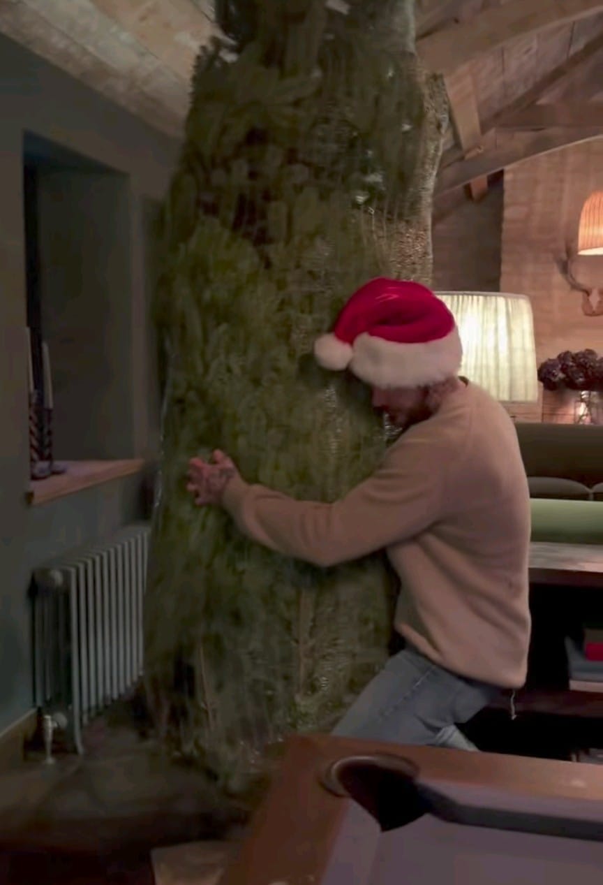 碧咸由鋸聖誕樹到搬返屋企,全部一腳踢。 碧咸由鋸聖誕樹到搬返屋企,全部一腳踢。