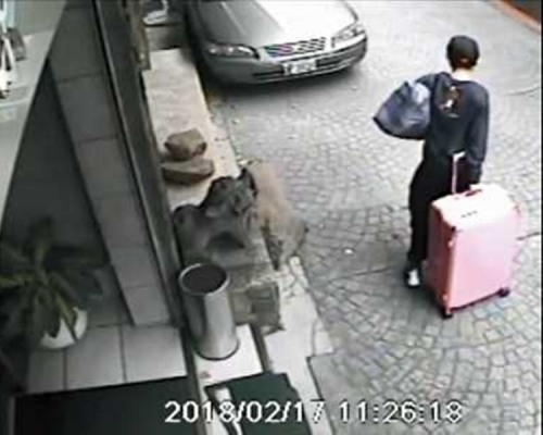 去年在台北發生一名香港女子遭香港男友殺害案件。 資料圖片