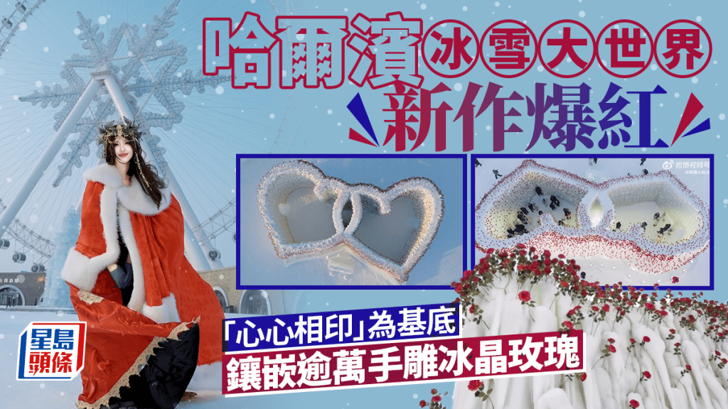 哈爾濱冰雪大世界｜新作受追捧  超大玫瑰冰瀑奇景成打卡頂流