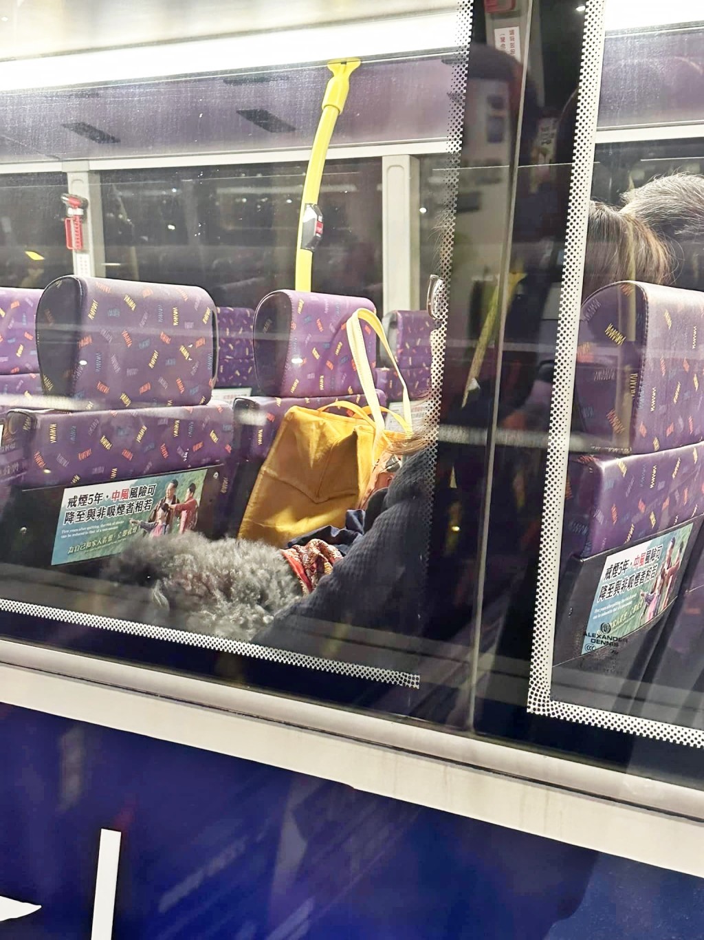 有網民見到巴士上有一對男女乘客帶同狗隻乘車。網上截圖