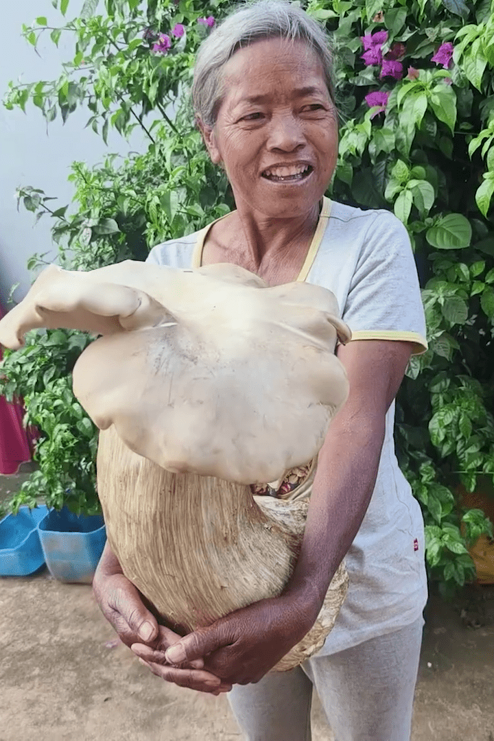 村民双手抱著巨型蘑菇，相当兴奋。