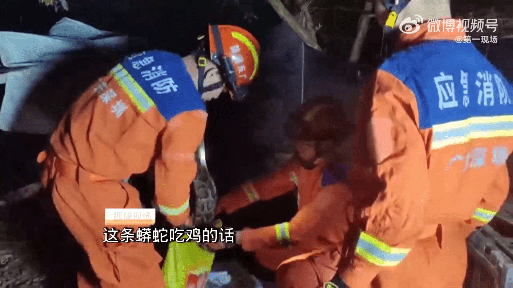 深圳消防将大蟒蛇「入袋」。 第一现场