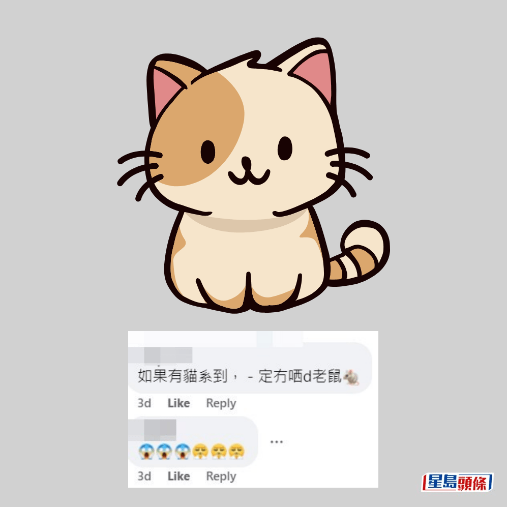 网民：如果有猫喺度，一定无晒啲老鼠。fb「屯门友」截图