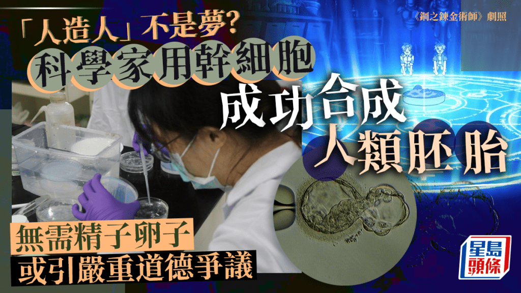 美英科學團隊成功創造合成人類胚胎模型 或引發嚴重道德法律爭議