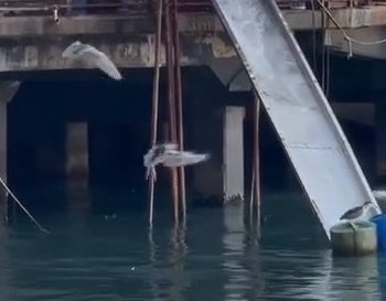 Threads截圖(資料來源:tumtumtummy_tommy@Threads) Threads截圖(資料來源:tumtumtummy_tommy@Threads)