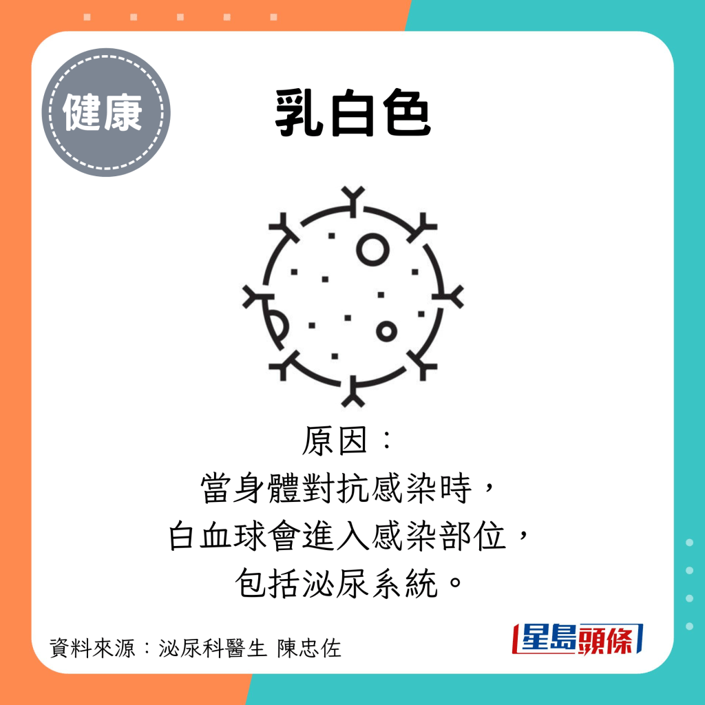 乳白色：原因： 當身體對抗感染時， 白血球會進入感染部位， 包括泌尿系統。