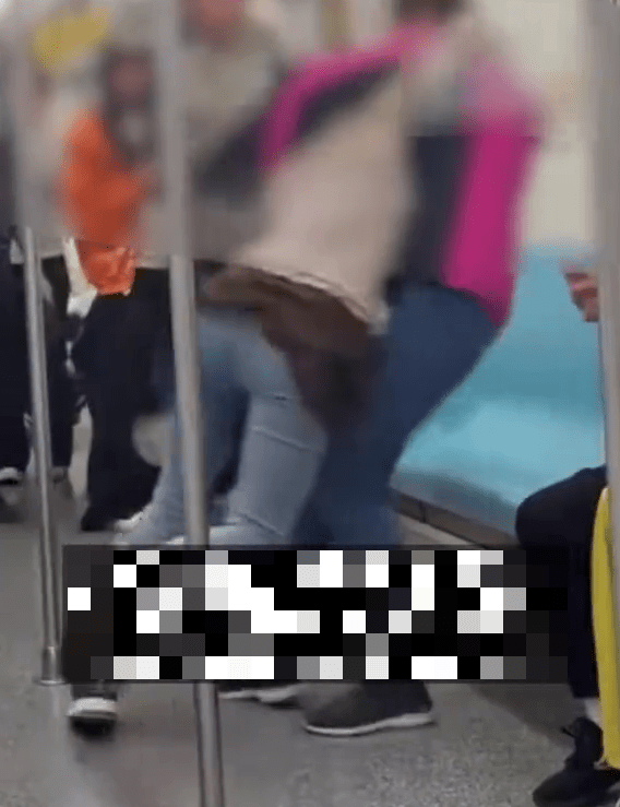 兩女上海地鐵為爭座位打大出手，扯頭髮抱摔技盡出。 網片截圖