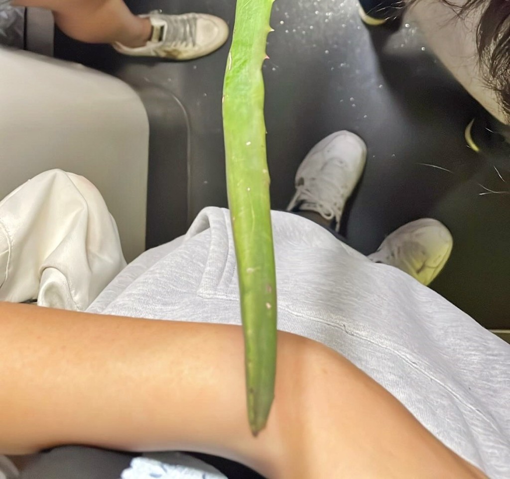 Threads截圖(資料來源:foxhaha_@Threads) Threads截圖(資料來源:foxhaha_@Threads)