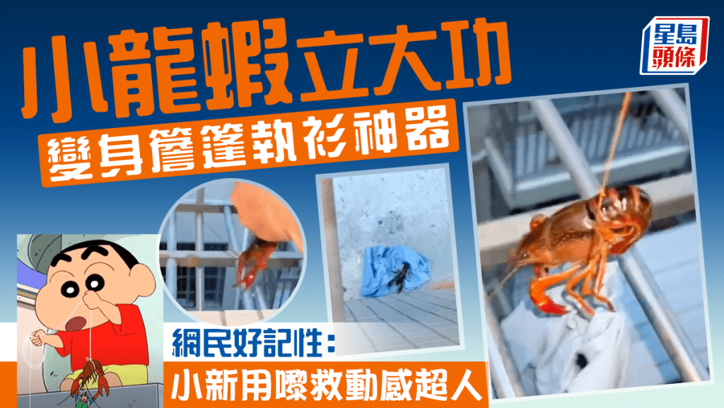 小龍蝦變身簷篷執衫神器 網民感恩:養蝦千日用在一時