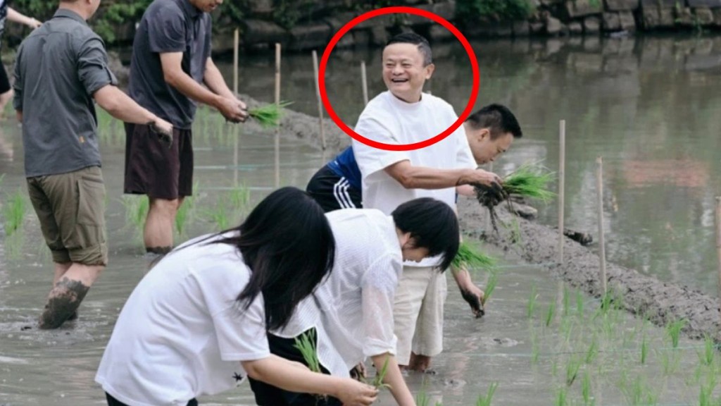 馬雲帶領阿里管理層參與團建活動。