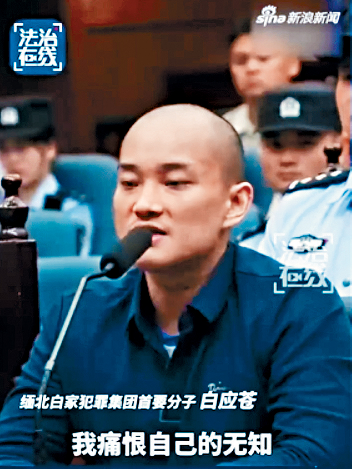 官方公布白應蒼庭上畫面。