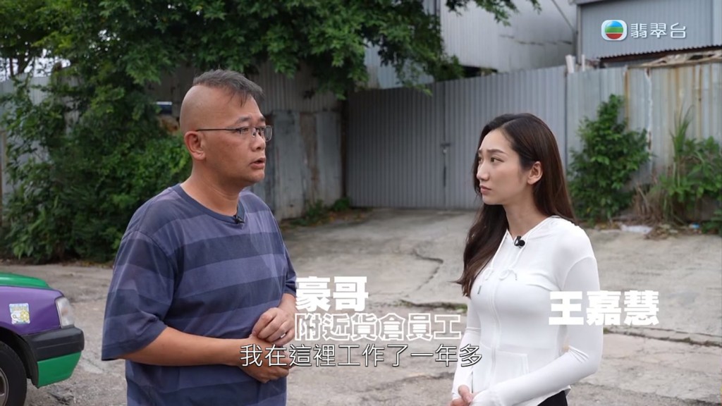 TVB節目《東張西望》今晚（1日）報導上水一個倉庫內養了大量犬隻。