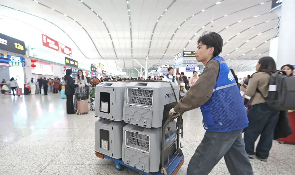 深圳北站候車室，搭乘G400次前往武漢的「毛孩子」準備進站。 深圳大件事