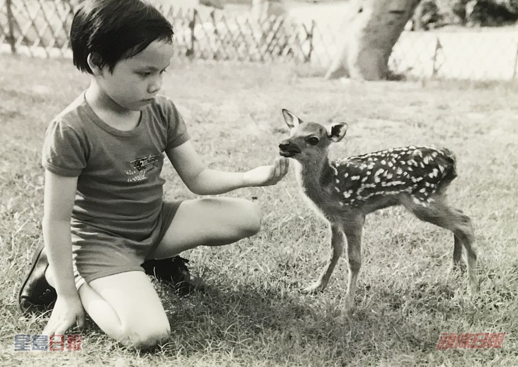 梅花鹿深受小朋友歡迎。資料圖片