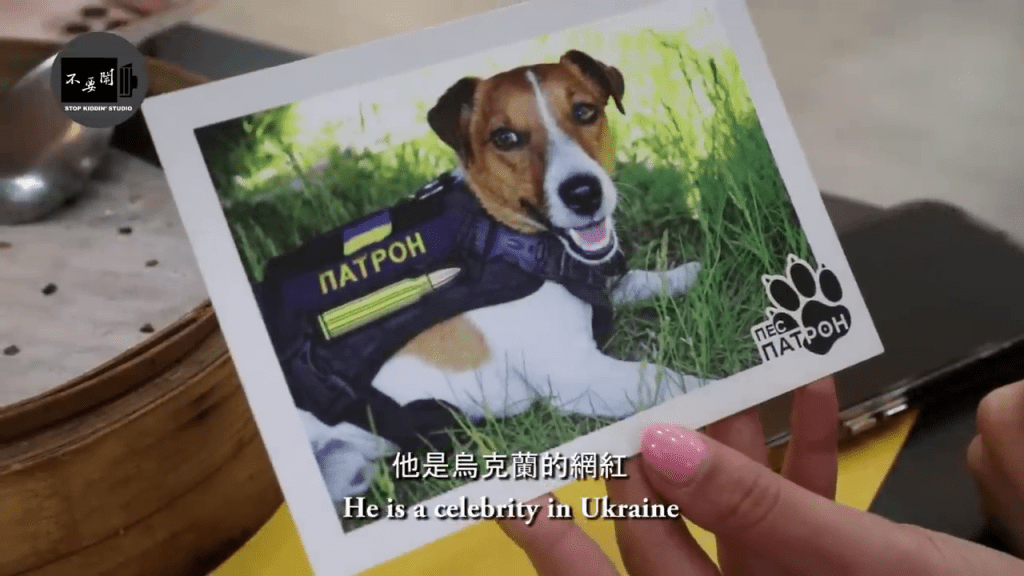Karima表示这只狗在乌克兰救了很多人。