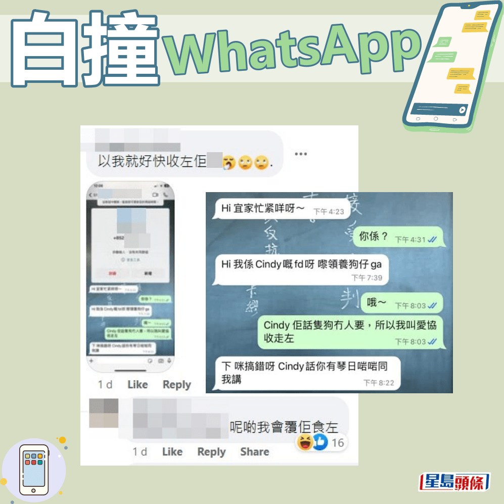 網民上載自己的「白撞WhatsApp」故事（三）。fb「大埔人大埔谷」截圖