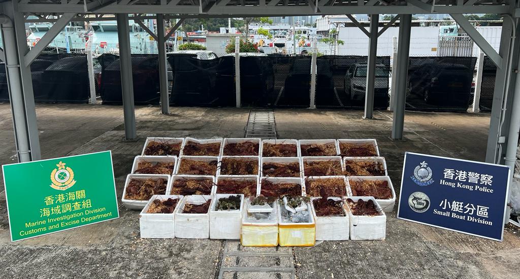 行動中，人員檢獲25箱懷疑走私龍蝦及受管制珊瑚，市值共約100萬元。警方提供