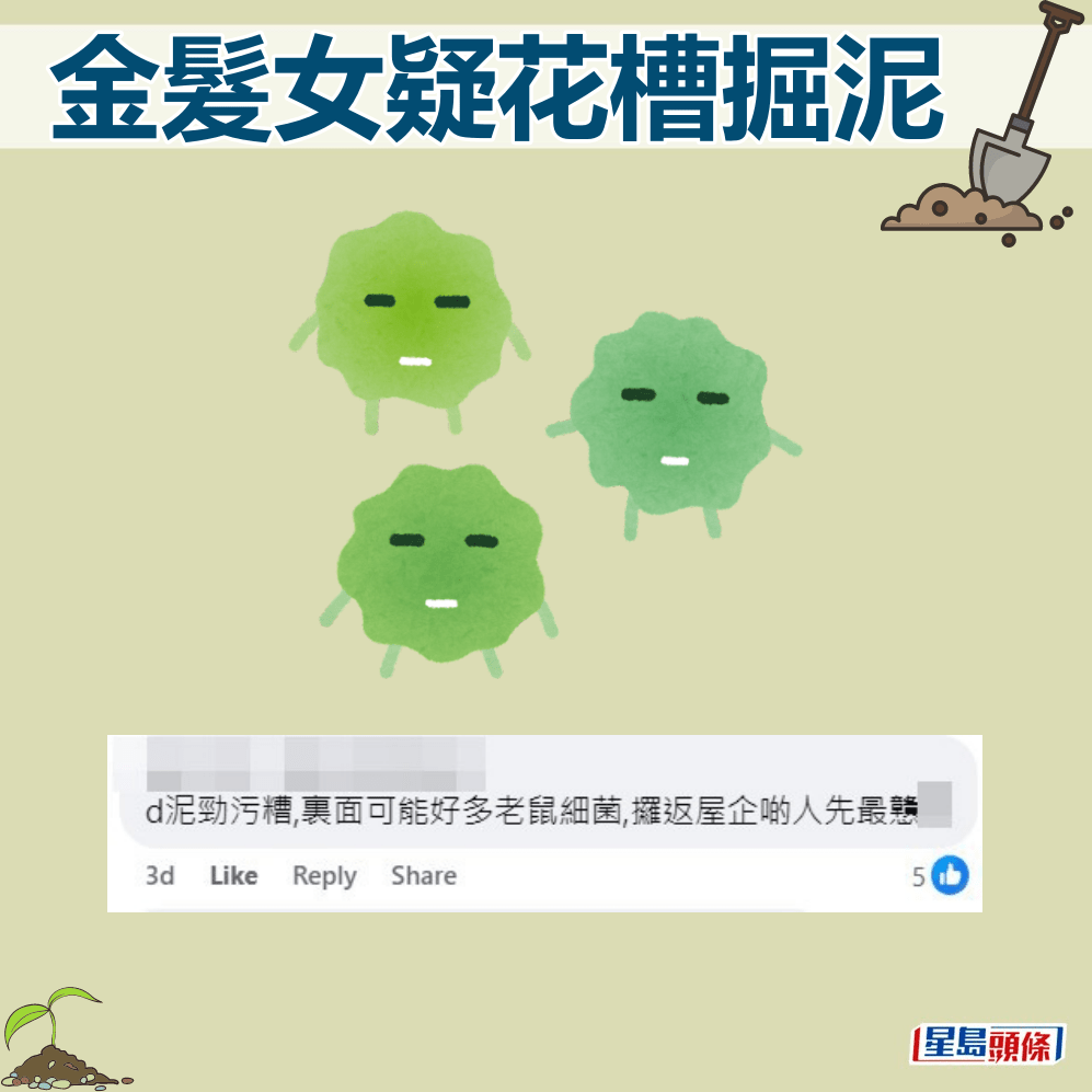 网民：啲泥劲污糟，里面可能好多老鼠细菌。fb「筲箕湾西湾河关注组」截图