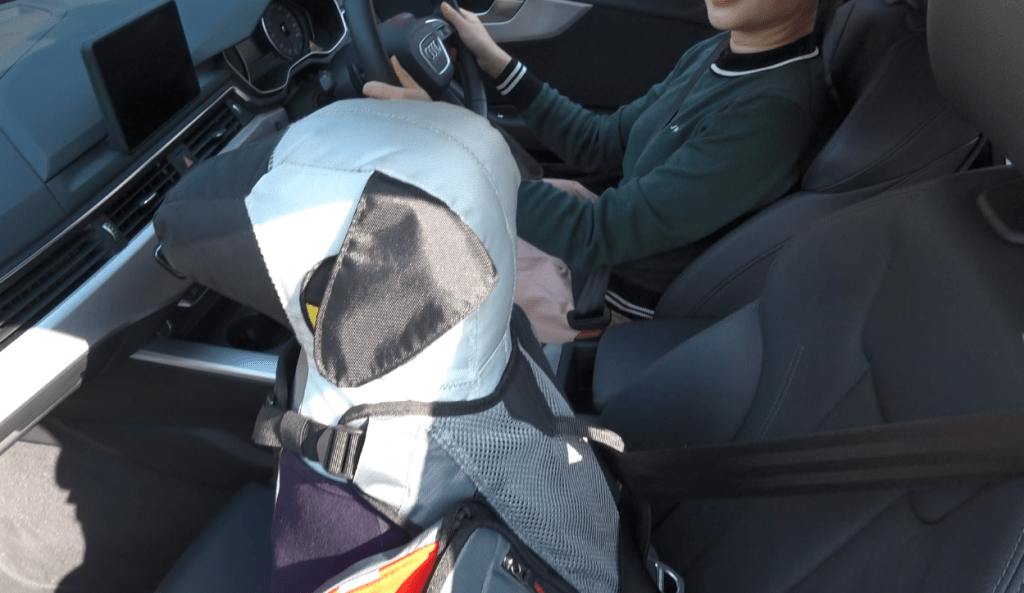 如坐前排座位宜使用寵物專用的安全帶。